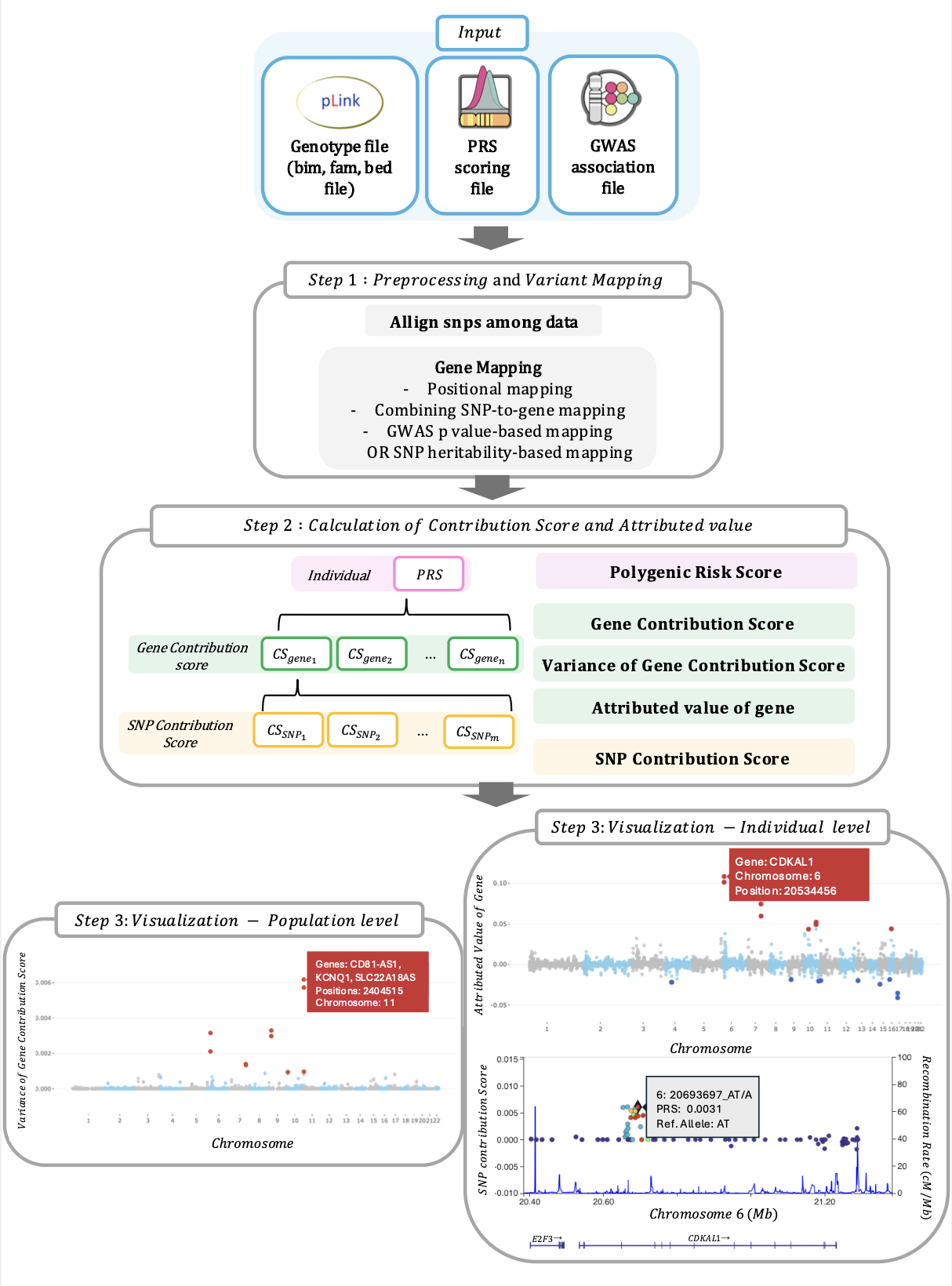 Overview of eXplainable PRS (XPRS)